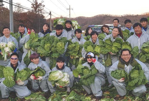 선수단, 배추 수확 일손돕기 봉사활동 실시